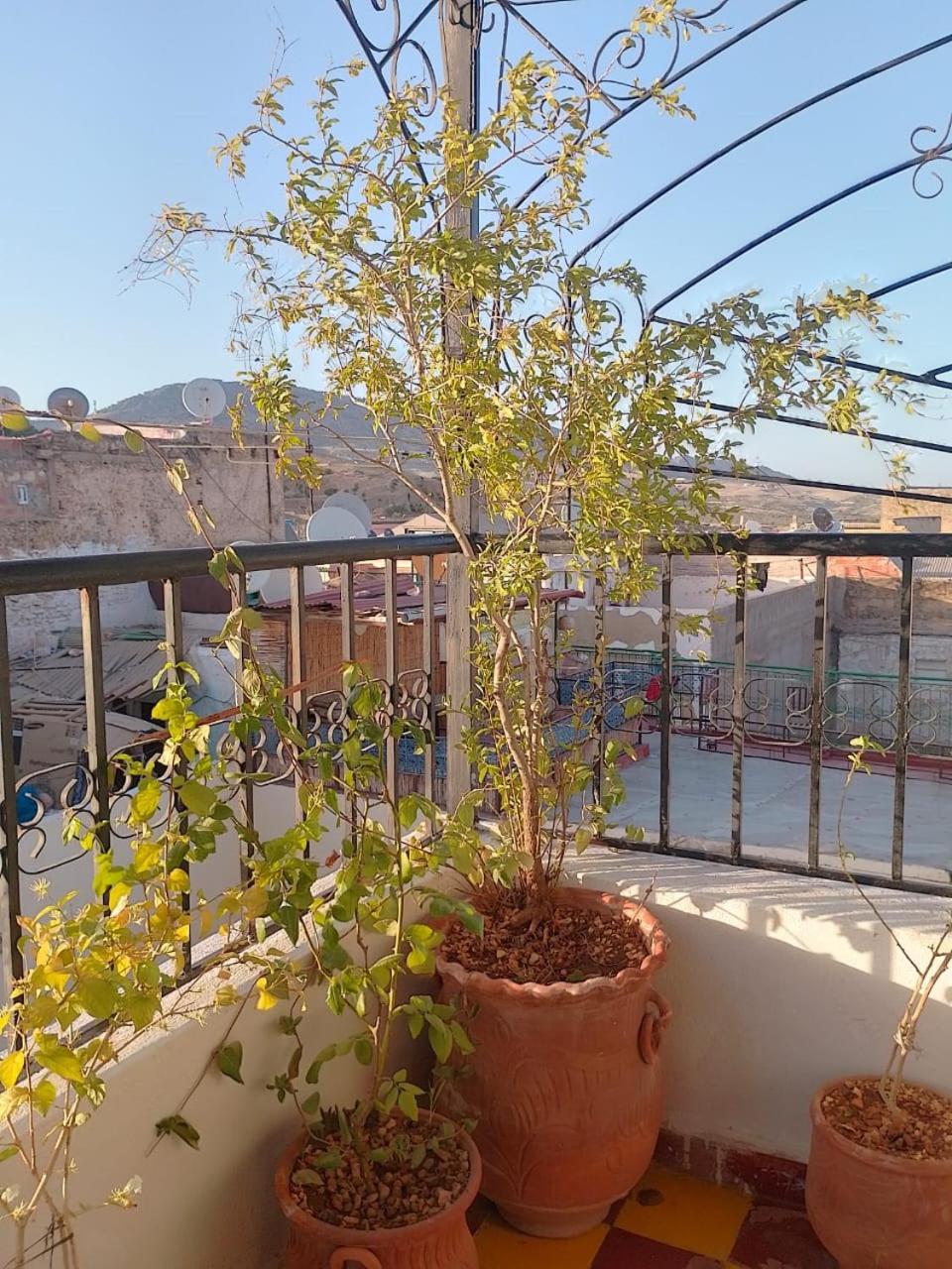 Riad Drissia Panoramic フェズ エクステリア 写真